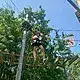 Mädchen klettert im Kletterwald & Hochseilgarten beim Sommercamps Köln #4
